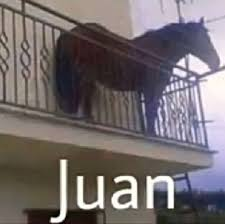 Juan Meme, Explained: The Internet's Latest Obsession