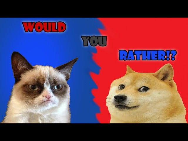 Meme Like Doge or Grumpy Cat, Explained