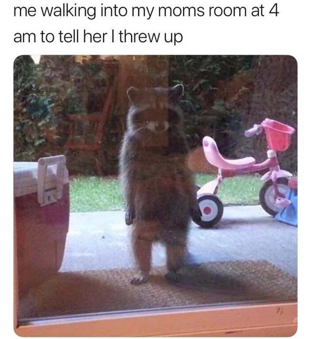 The 'I Frew Up' Meme, Explained