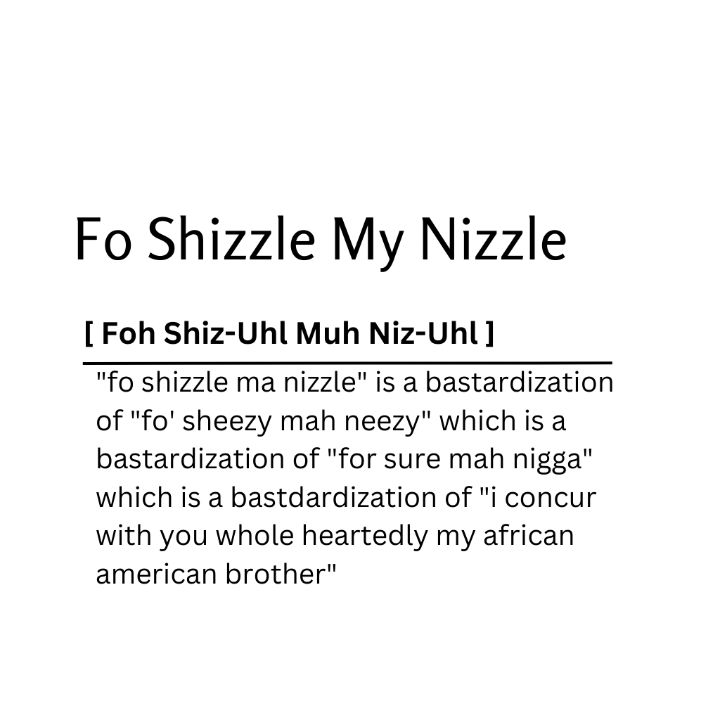 "Fo Shizzle My Nizzle" Meme, Explained