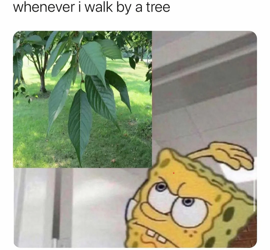 Leaves Meme, Explained