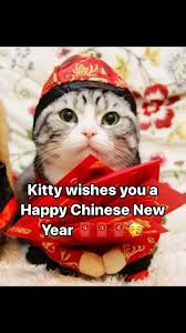 Happy Lunar New Year Meme, Explained