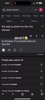 “A Seal Pushed Me Yesterday” in French Meme: Why It’s Everywhere
