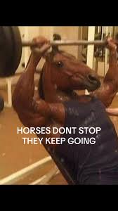 “Horses Don’t Stop, They Keep Going” Meme: Meaning & How To Use It