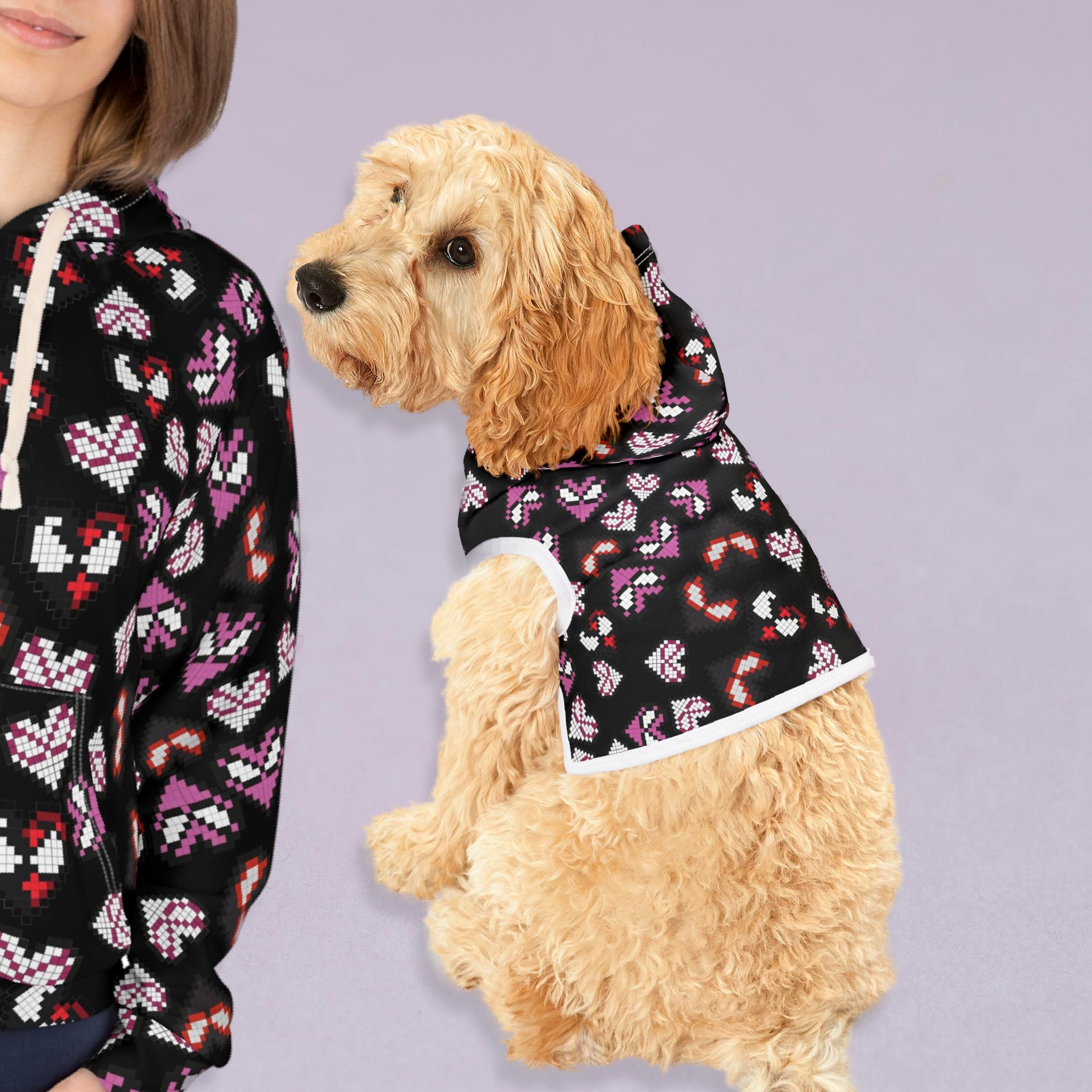 Matching Cat & Dog Pet and Owner Outfits spider hearts pixel unisex sweaters/hoodies