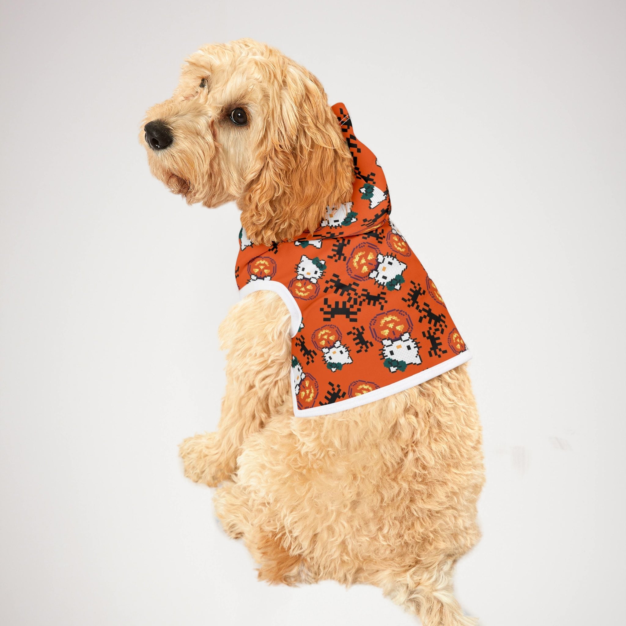 Pet hoodie kitty pumpkin Halloween pixel spider orange