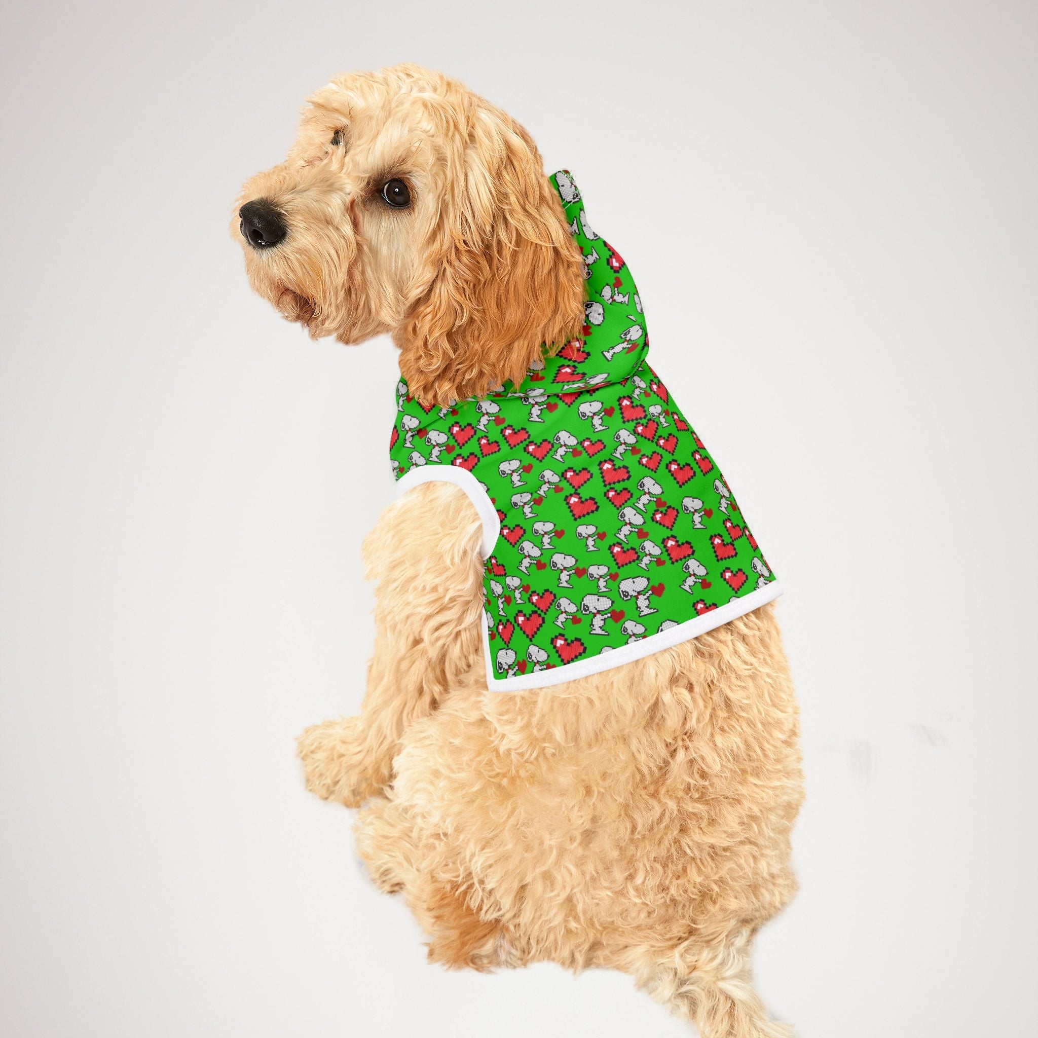 Pet hoodie snoopy hearts valentine green