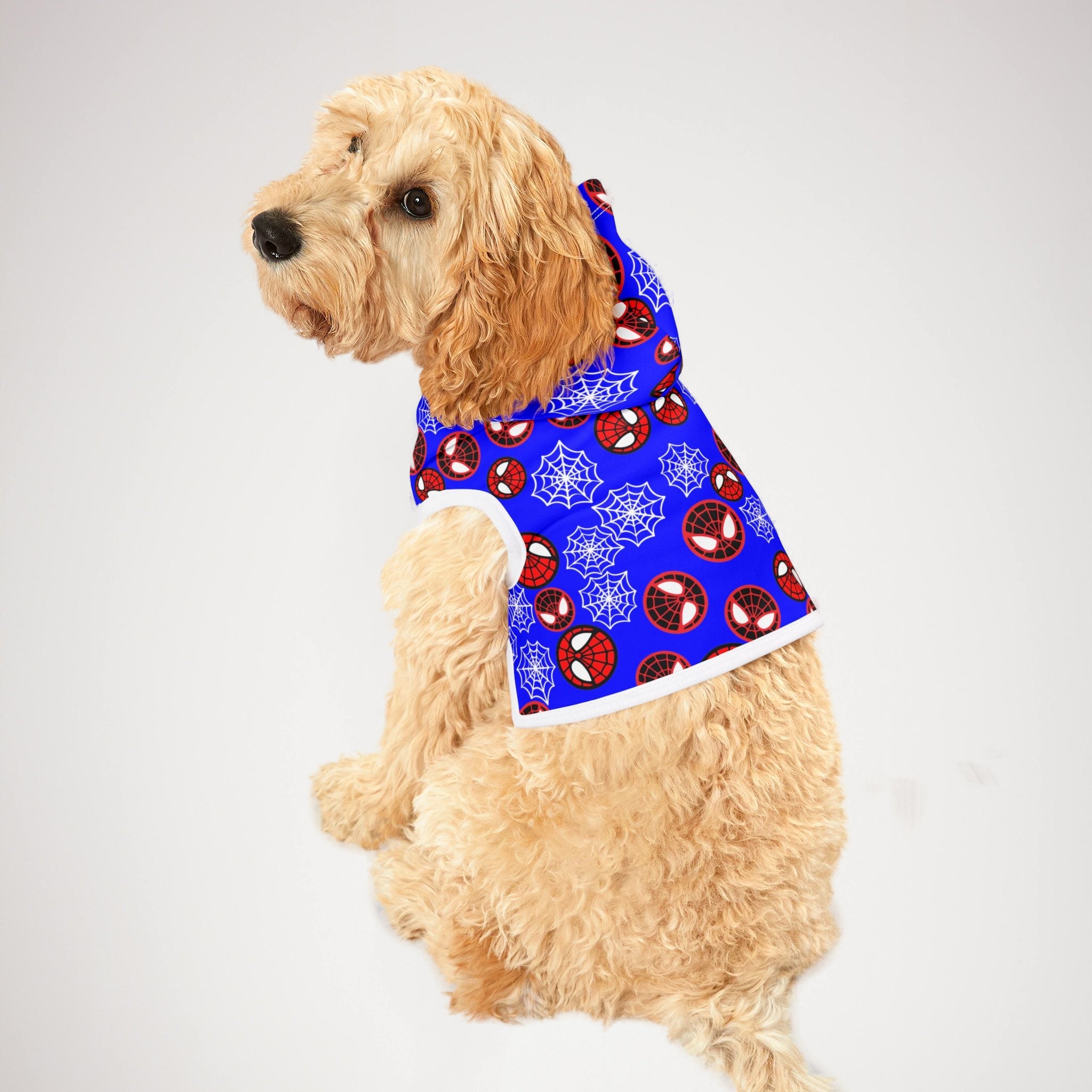 Pet hoodie spider circle web blue