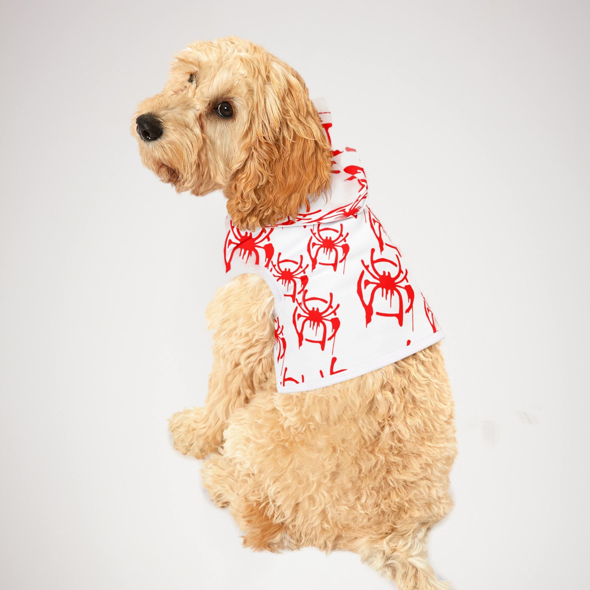 Pet hoodie only spider web white