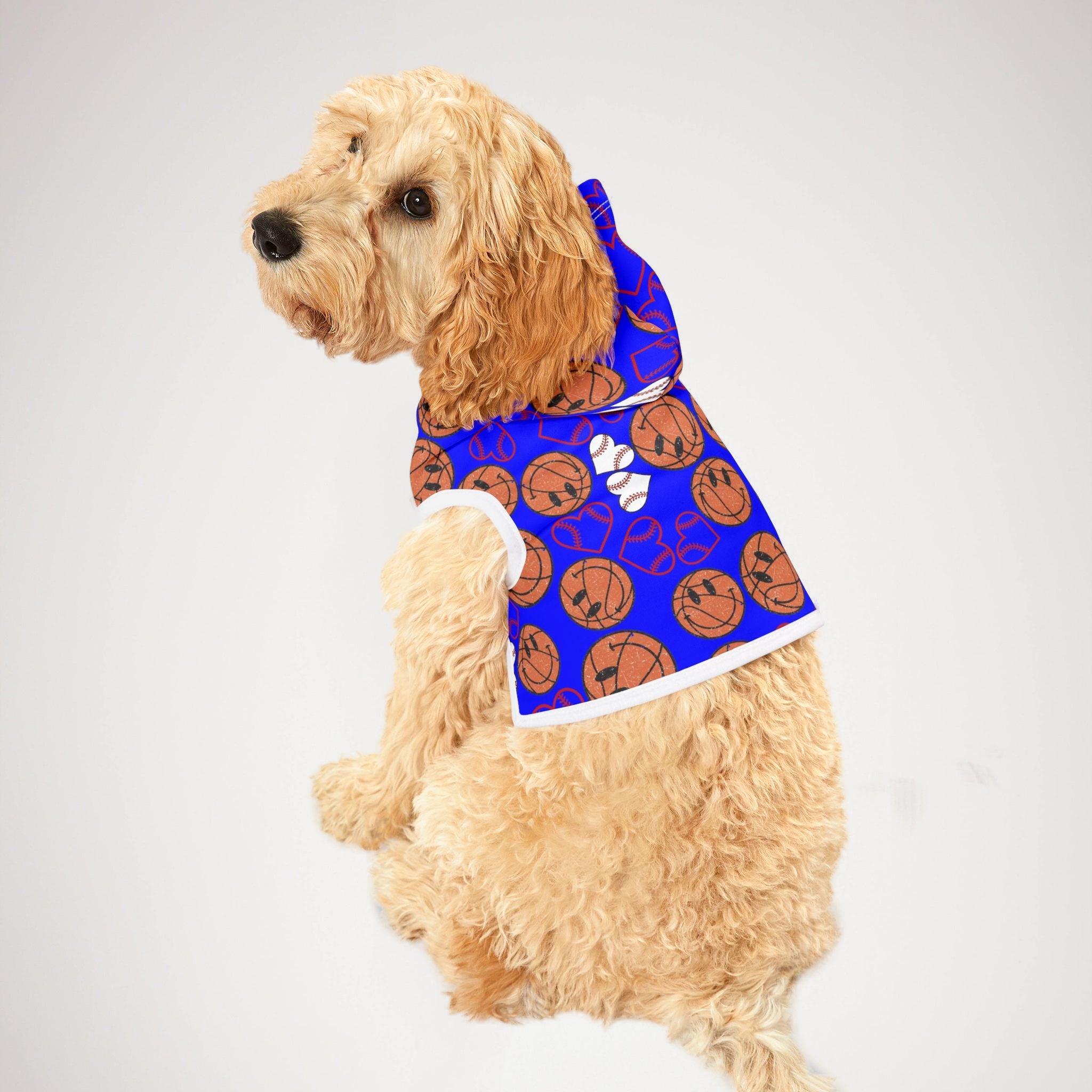 Pet hoodie BasketBall hearts valentine blue