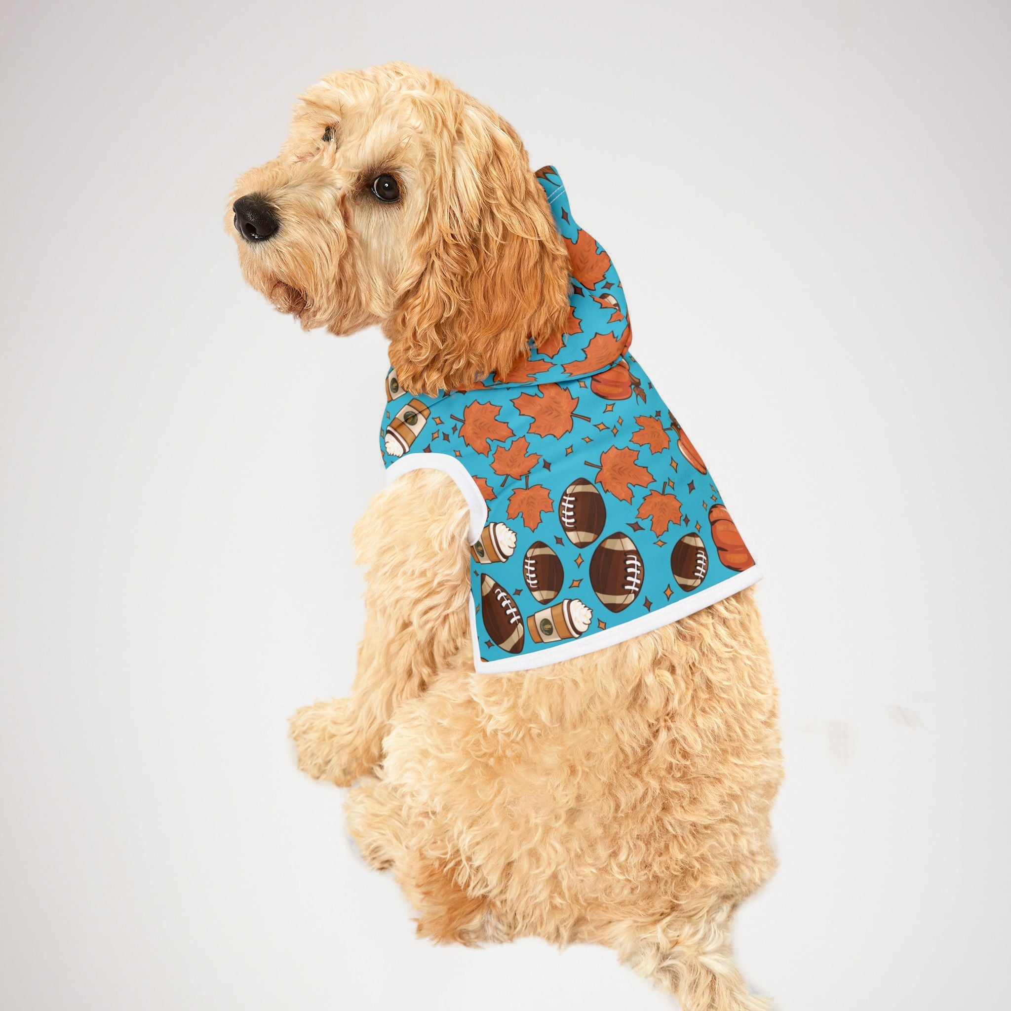 Pet hoodie fall season american football rugby cyan