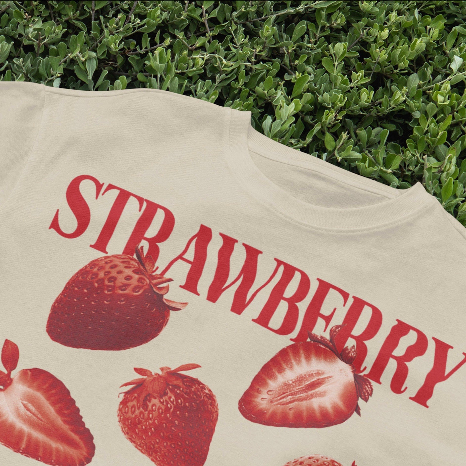 Cute Strawberry T-Shirt, Cottagecore Aesthetic Tee, Harajuku Style Fruit Top, Indie Soft Girl Fashion, Y2K Vintage Shirt, Tropical Apparel