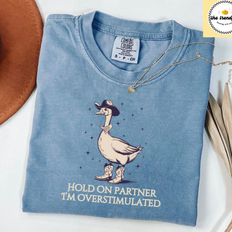 Hold On Partner Im Overstimulated Comfort Colors® Tee, Cowboy Duck Shirt Unhinged Tshirt, Cowboy Frog Shirt, Wierdcore Tshirt, Western Duck