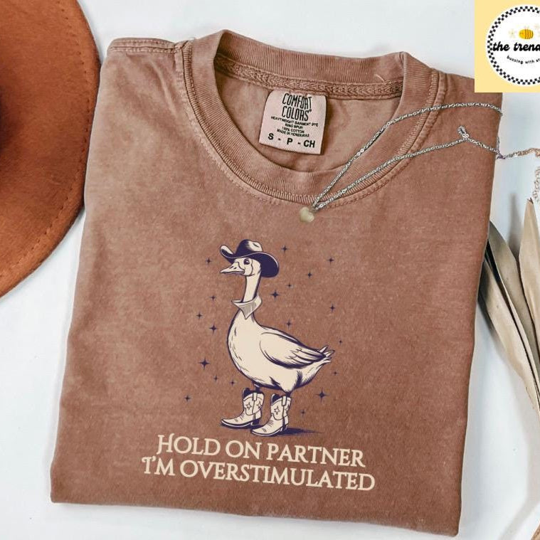 Hold On Partner Im Overstimulated Comfort Colors® Tee, Cowboy Duck Shirt Unhinged Tshirt, Cowboy Frog Shirt, Wierdcore Tshirt, Western Duck