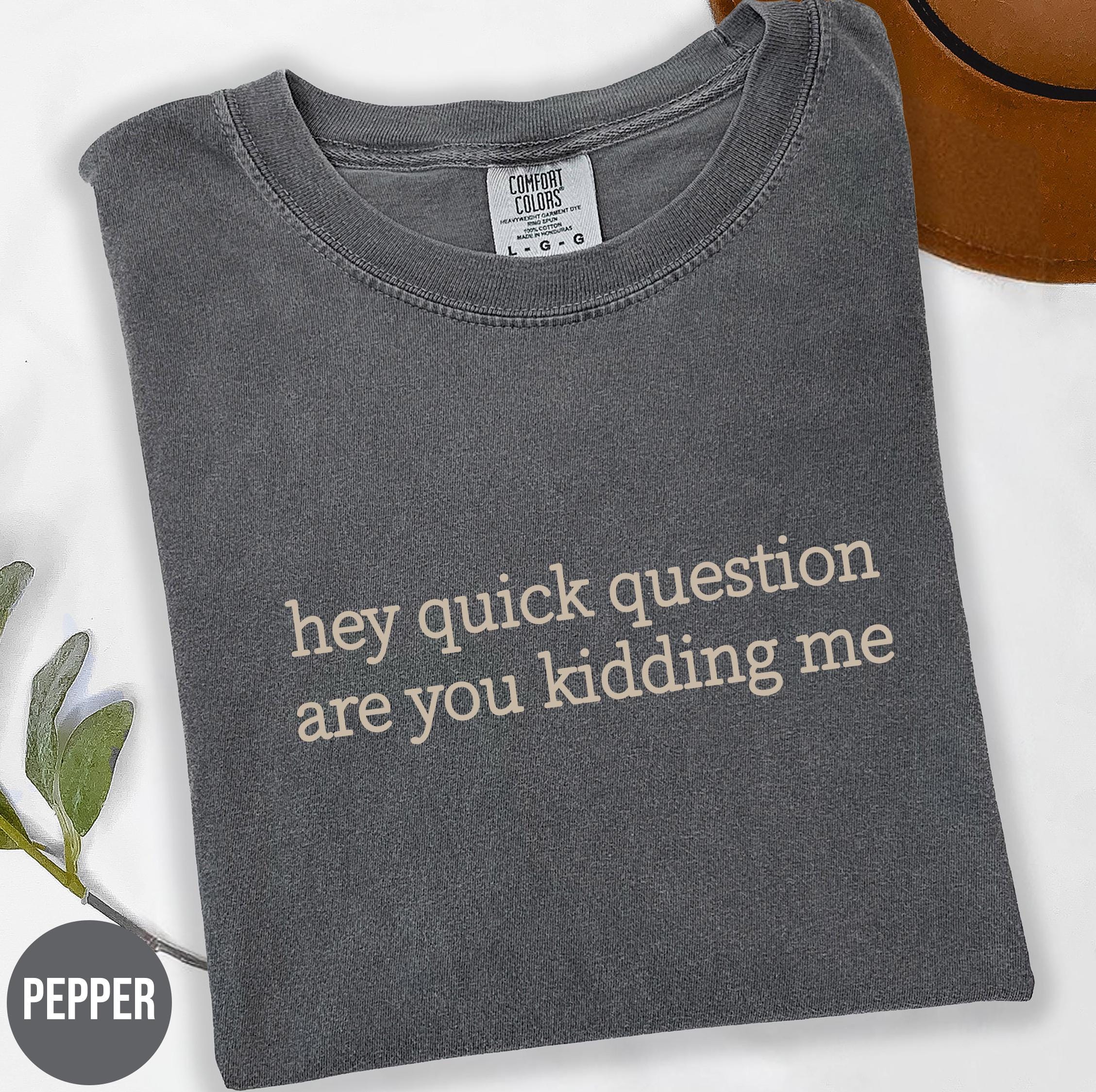 Comfort Colors® 1717 Unisex Garment-Dyed T-shirt - "Hey Quick Question Are You Kidding Me" Sarcastic Meme Shirt, Funny Humor Tee for Mental Health Awareness, Perfect Gift for Men & Women, Casual Outfit for Any Season