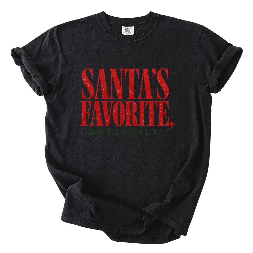 Santa's Favorite Holiday Graphic Gildan Sweatshirt / Comfort Colors T-Shirt 7