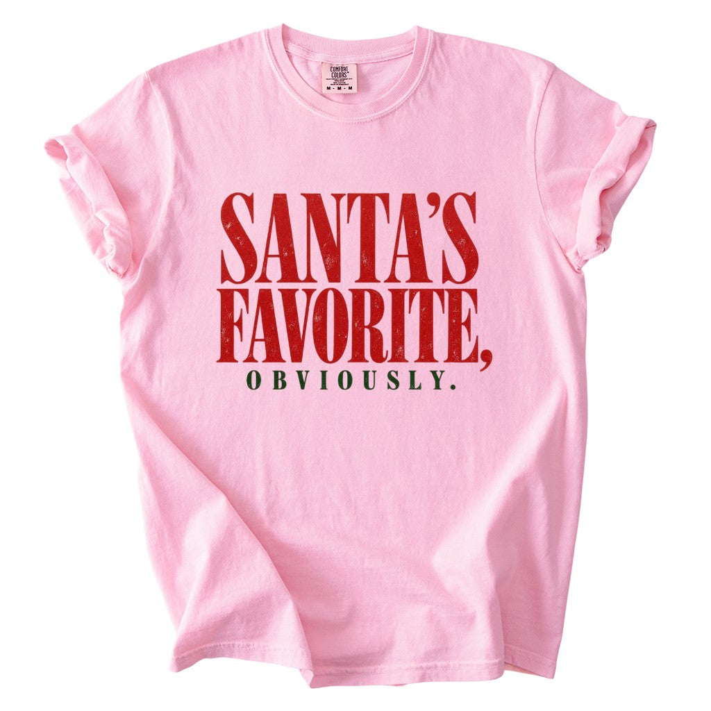 Santa's Favorite Holiday Graphic Gildan Sweatshirt / Comfort Colors T-Shirt