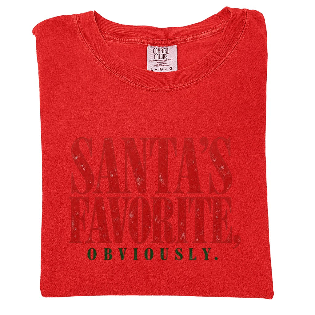 Santa's Favorite Holiday Graphic Gildan Sweatshirt / Comfort Colors T-Shirt