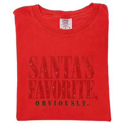 Santa's Favorite Holiday Graphic Gildan Sweatshirt / Comfort Colors T-Shirt